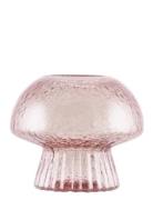 Globen Lighting Tealight Holder Fungo 12 Special Edition Green Rosa