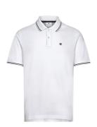 Champion Polo Vit