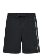 Quiksilver Everyday Vert Volley Yth 14 Svart