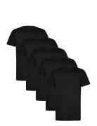 Claudio Claudio 5-Pack T-Shirt Cotton Svart