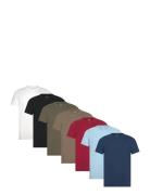 Hollister Hco. Guys Knits Multi/patterned