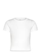 Gina Tricot Basic Tight Top Vit