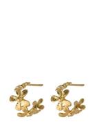Pernille Corydon Wild Poppy Hoops Guld