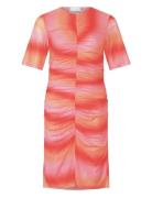 Noella Linda Dress Rosa
