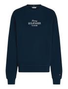 Tommy Hilfiger Reg Hilfiger Sweatshirt Marinblå
