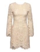 Malina Imani Guipure Lace Mini Dress Kräm