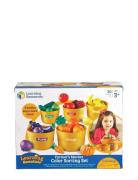 Learning Resources Farmer's Market Colour Sorting Set Gul