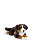 Teddy Hermann Lying Bernese Mountain Dog 60 Cm Brun