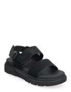 Timberland Backstrap Sandal Svart