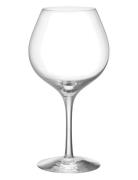 Orrefors More Pinot Vinglas 60Cl 2-Pack Nude