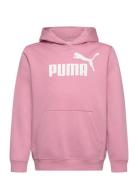 PUMA Ess No. 1 Logo Hoodie Fl G Rosa