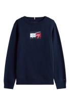 Tommy Hilfiger Tommy Script Flag Sweatshirt Marinblå