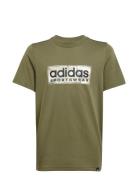 Adidas Sportswear B Camo Lin Khaki Green