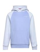 Tommy Hilfiger Mini Corp Logo Hoodie Blå