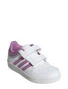 Adidas Sportswear Hoops 4.0 Cf C Vit
