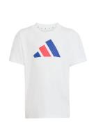 Adidas Sportswear Lk Bl Tee 160 Vit
