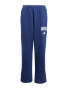 Adidas Sportswear J Clgt Fl Pnt Blå
