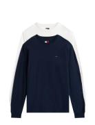 Tommy Jeans Tjm Slim 2Pack L/S Ext Multi/patterned