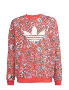 Adidas Originals Crew Multi/patterned