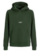 Jack & J S Jjesoho Sweat Hood Noos Jnr Grön