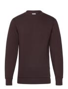 Selected Slhemanuel Soft Crew Neck Sweat Noos Brun