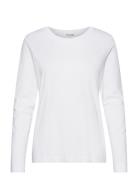 Selected Slfstandard Ls Tee Vit