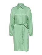 Selected Slfirene-Tonia Ls Cupro Shirt Dress B Grön
