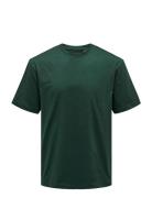 ONLY & SONS Onsfred Life Rlx Ss Tee Noos Grön