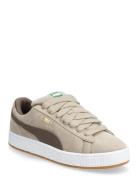 PUMA Suede Xl Beige