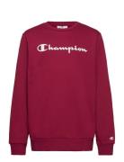 Champion Crewneck Sweatshirt Röd