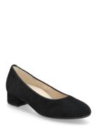 Gabor Pumps Svart