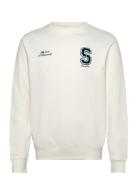 Solid Sdridley Vit