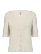 Soyaconcept Sc-Dollie Kräm