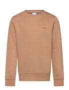 BOSS Sweatshirt Beige