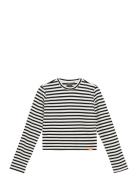 Indian Blue Jeans Longsleeve Stripe Vit