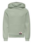 Kids Only Kognoomi-Vinta Label Ls Hood Cs Swt Noos Grön