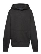 Ralph Lauren Kids Fleece Hoodie Grå