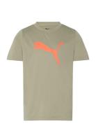 PUMA Tad Ess Cat Logo Tee B Grön