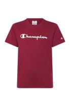 Champion Ss Tee Burgundy