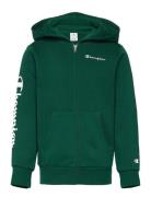 Champion Hooded Full Zip Sweatshirt Grön