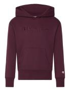 Champion Hooded Sweatshirt Burgundy