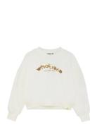 Indian Blue Jeans Sweater Foil Vit