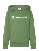 Champion Hooded Sweatshirt Grön