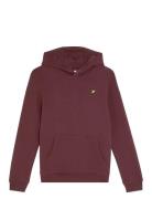 Lyle & Scott Brush Back Pullover Hoodie Burgundy