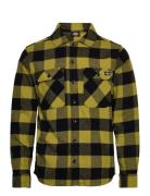 Dickies Sacramento Shirt Grön