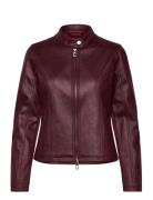 Desigual Basic Burgundy