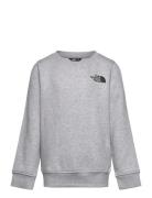 The North Face Teen Box Nse Regular Crew Grå