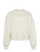 Calvin Klein A- Logo Emb French Terry Crewnec Kräm