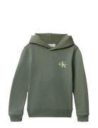 Calvin Klein Small Monogram Hoodie Grön