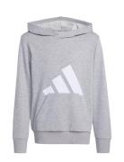Adidas Sportswear J Bl Ft Hd 280 Grå